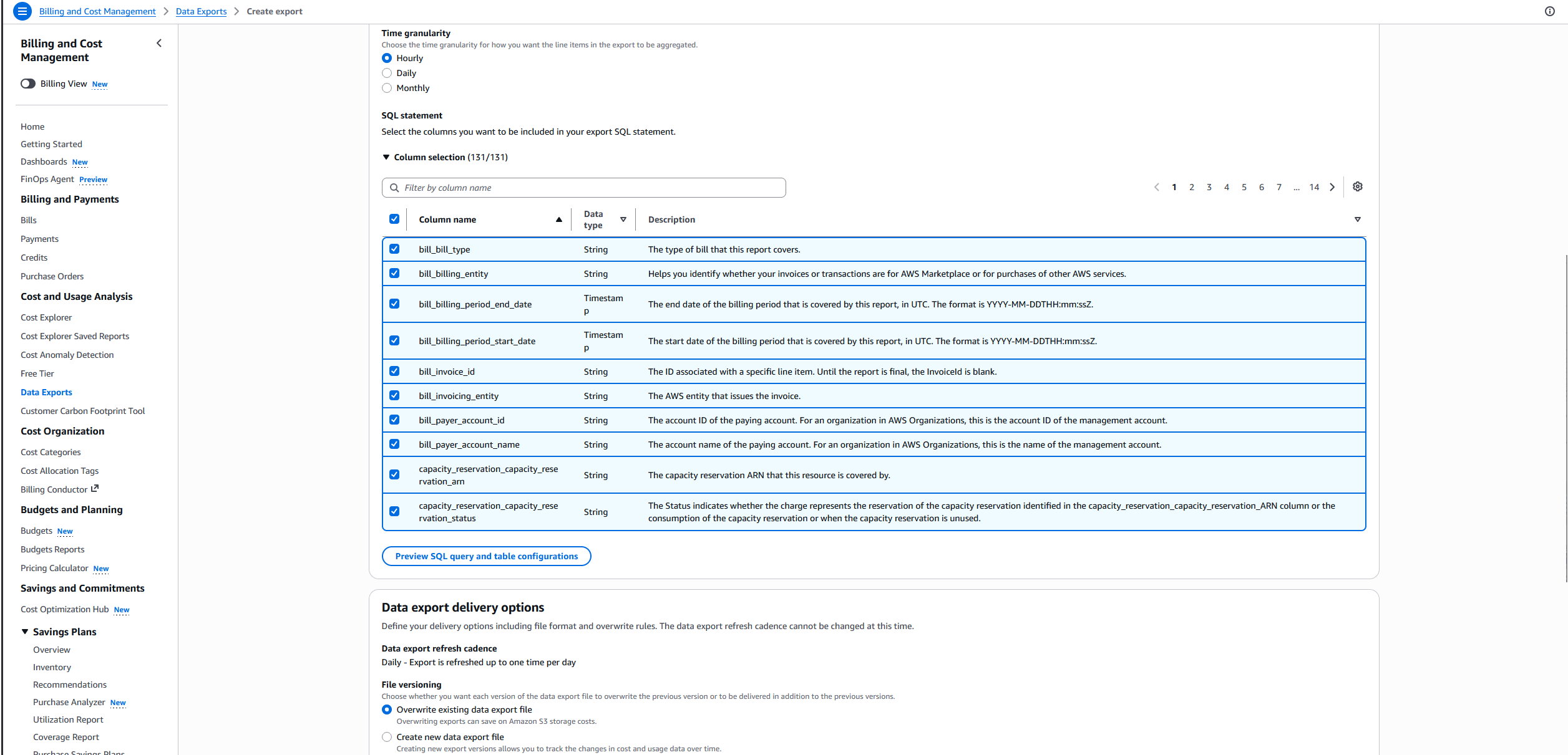 Time granularity section with Daily selected and all 131 columns included